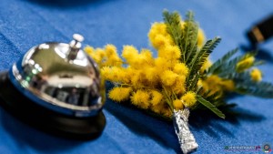 serie a2 sfe03133 copia simone ferraro ph